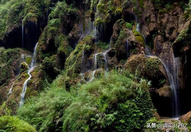 九张羊皮纸