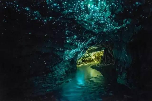 动漫明星竞速赛